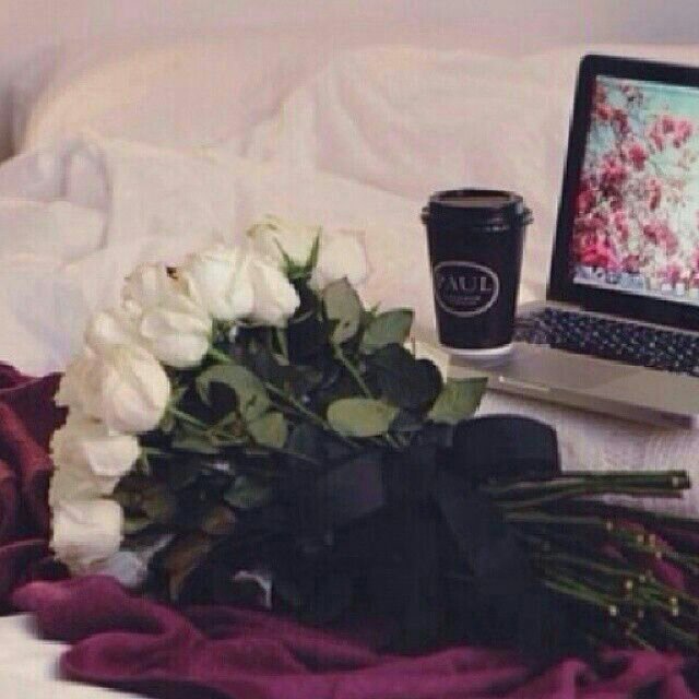 ‏‏‏‏‏‏‏‏ ​سُبحّآن آللّہ ۈ بحّمدِه ،  
عدّد خّلقہ ۈ رضّآ نفّسہ ،  
ۈ زِنـۃ عّرشِہ ، ۈ مِدّآدَ گلِمآتَہ ،. 