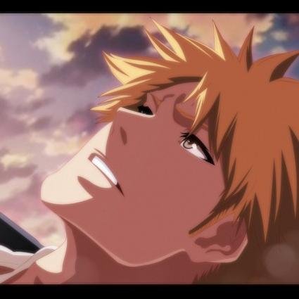 Ichigo Kurosaki: Obstinado, espontáneo, decidido, franco e impulsivo. Si me importara lo que piensan los demás, hace años ya me hubiera teñido el pelo.