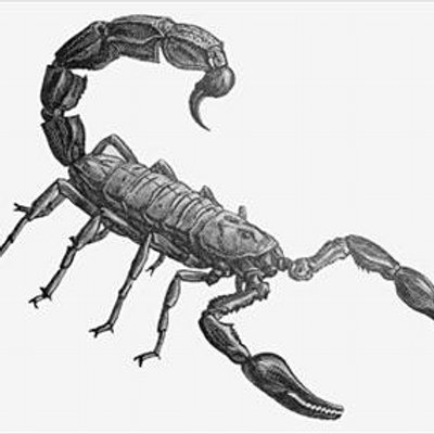 地球上で最も危険な生物 Ityuu04 Twitter 地球上で最も危険な生物 Ityuu04 Twitter