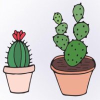 posi succulent (@positivitea__) 's Twitter Profile