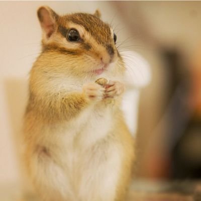 旅行好き☆ウィンドーショッピングが好き☆温泉好き☆自然好き☆野菜好き☆