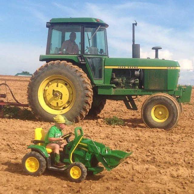 hayesfarms's profile picture. 