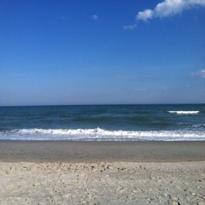 topshelftrader's profile picture. Texas Tech alum. Market enthusiast.