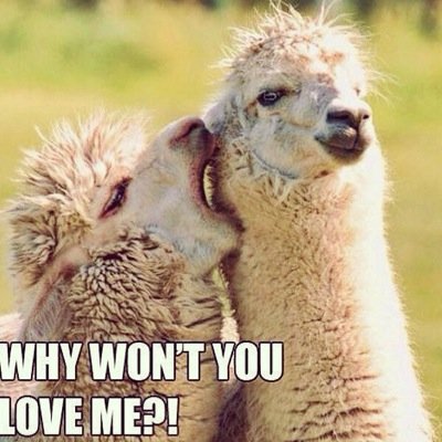 megmun's profile picture. N/a