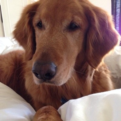 OhhhhBuhBuh's profile picture. Missing you everyday. F.U.Cancer 
Love my Ks ❤️

http://t.co/APefczqYI5 http://t.co/ArSL3ihmxD