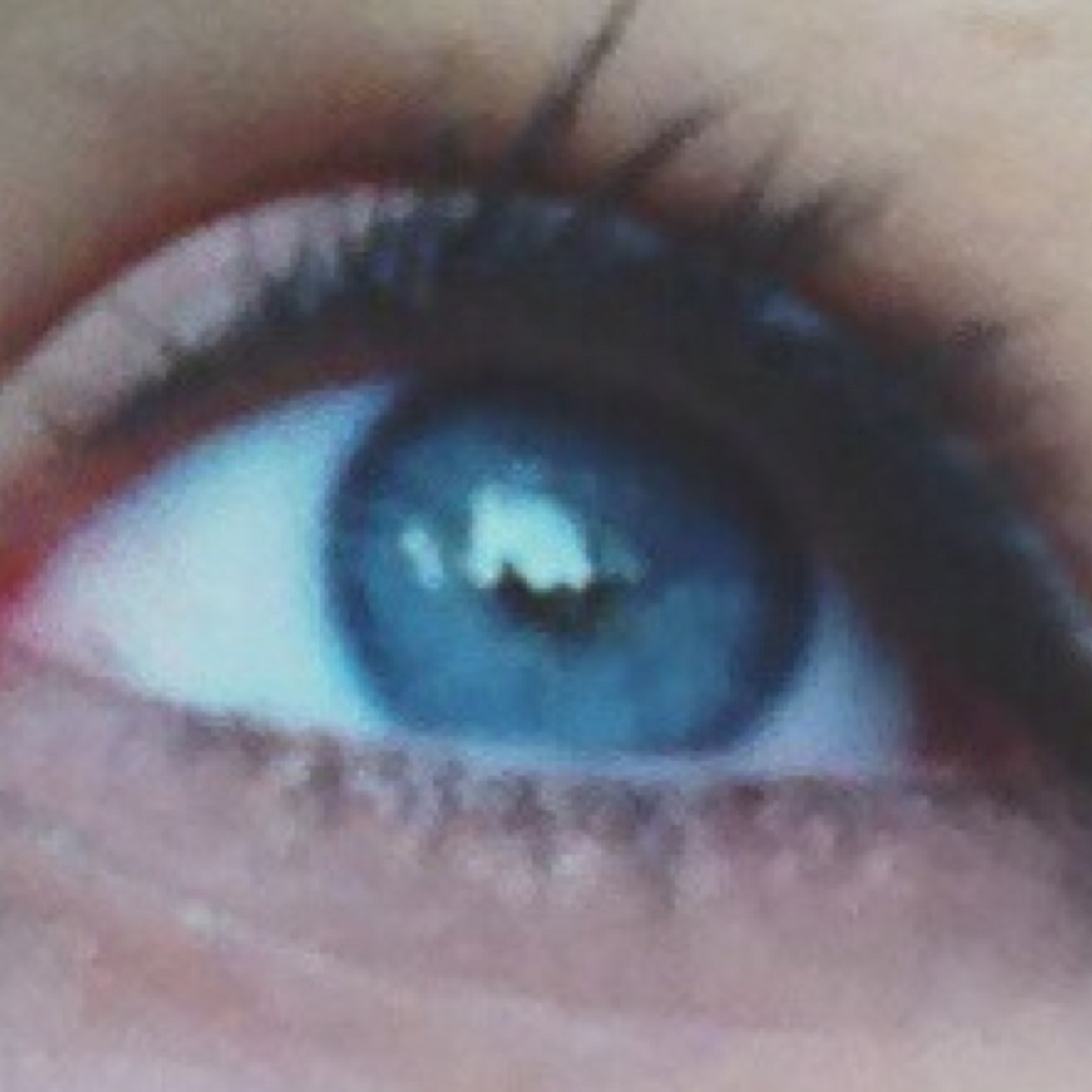 BBlacky00's profile picture. egg.