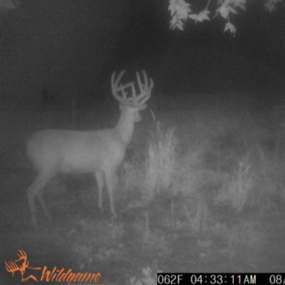 HoesingKayden's profile picture. love fishing and hunting. hate being in school and like trucks and working on them