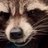 Profile Picture of RocketRaccoon (@@KrisMullins2012) on Twitter