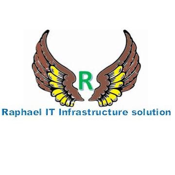 IT professional