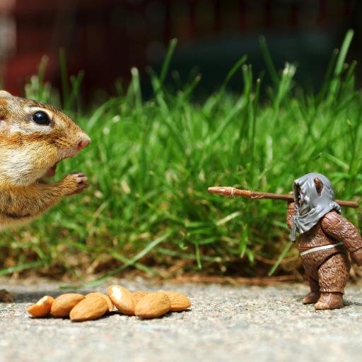 hooten_david's profile picture. 