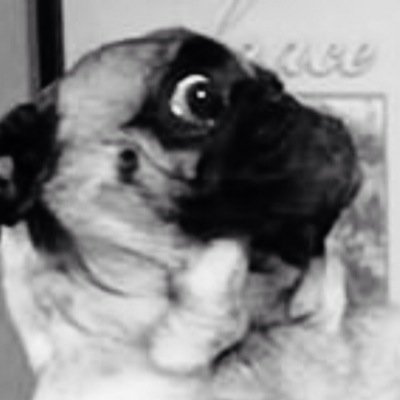 WATCHA LOOKIN AT? GO BACK AND STAIRE AT MA PROF PIC IT IS VERY ATTRACTIVE #sweg -GKHS  -New Orleans Metairie LA
