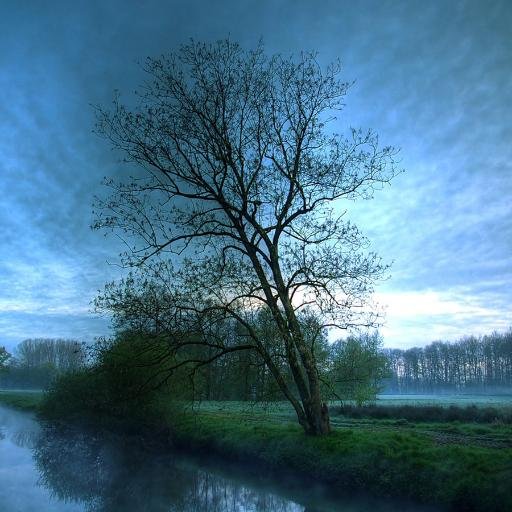 ChiJong18's profile picture. 