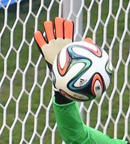 Info_Goalkeeper's profile picture. Conseiller pour gardien de but ( Gant, tenue, infos du post, etc....)