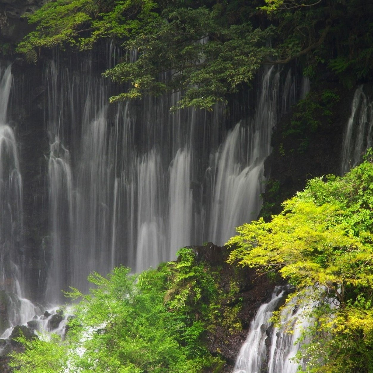 myyui289's profile picture. ゆっくり萌え♡