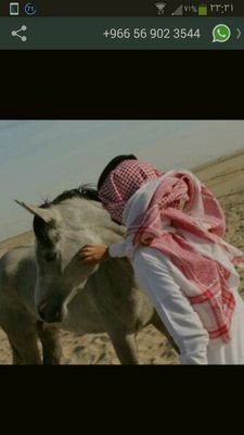 عاشق للمرأه الهادئه