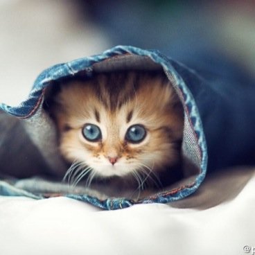 aya58212392's profile picture. عاشر من تعاشر فلا بد من الفراق