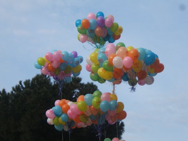 Fisac_Cgil_Abru's profile picture. Fisac Cgil Abruzzo: Segretario Generale Francesco trivelli 335-5774648.