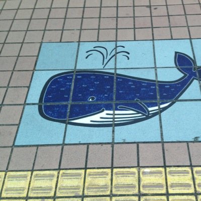 ザッキー 昔 花畑牧場で働いてた里田まいさんが 裸馬乗り回してることについて ハロヲタで 競馬好きで 昂じて乗馬習ってた友達が エライ感心してたw 里田まいさんの運動神経を知りたいな