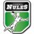 HandbolNules's profile image