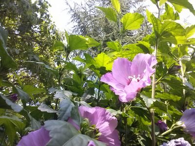 JohnnyTelletxea's profile picture. Jardinero
http://t.co/kn6Bbk7P2K