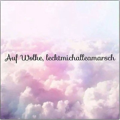 stachusliese's profile picture. 