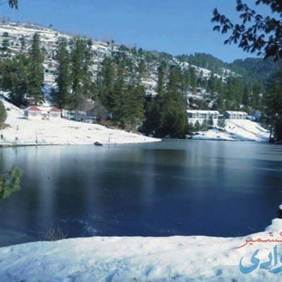 qadeer804's profile picture. 