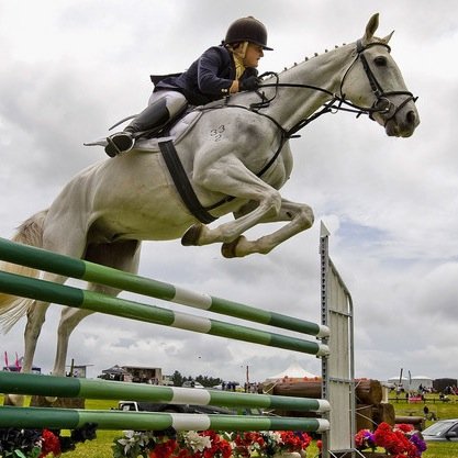 Prescott Equine Risk Consultant provides risk assessments for all forms of equestrian premises and competitions.From livery yards to riding schools & tack shops