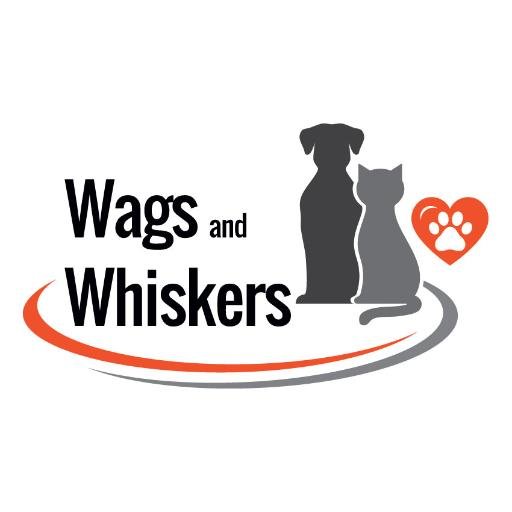 Wags and Whiskers offer a professional and friendly Dog Walking and Pet Sitting service across the Ponteland, Darras Hall and surrounding areas.