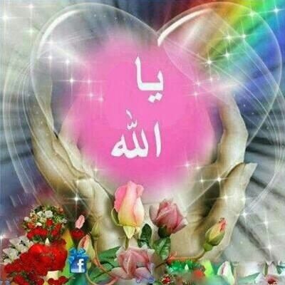 Hadeel249 Profile Picture