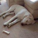 Carole Doherty - @doherty_3 - Twitter