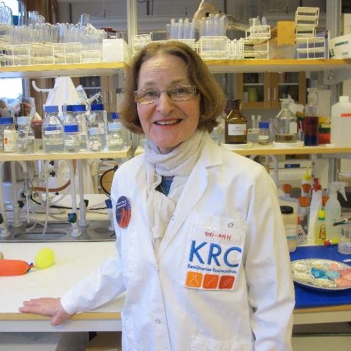 ViviAnnLngvik's profile picture. 