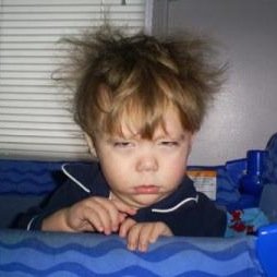 Wali_ZM's profile picture. 