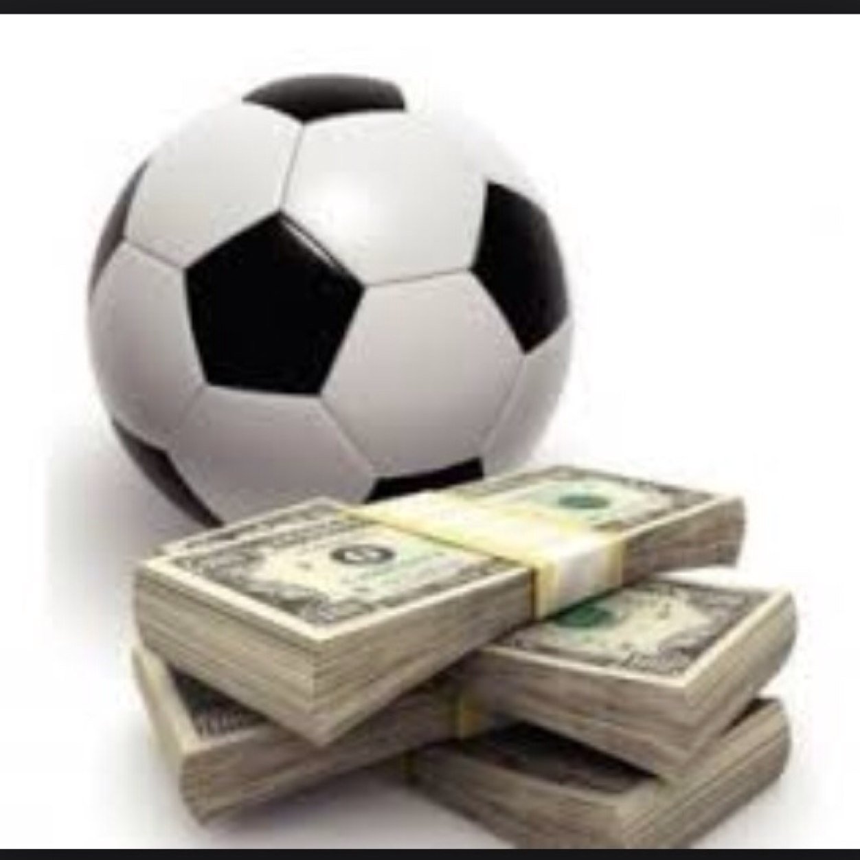 profit__builder's profile picture. 