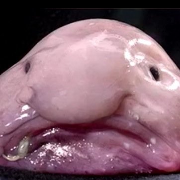 halloha92453998's profile picture. 