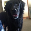 Sara Risner - @sararisner91 - Twitter