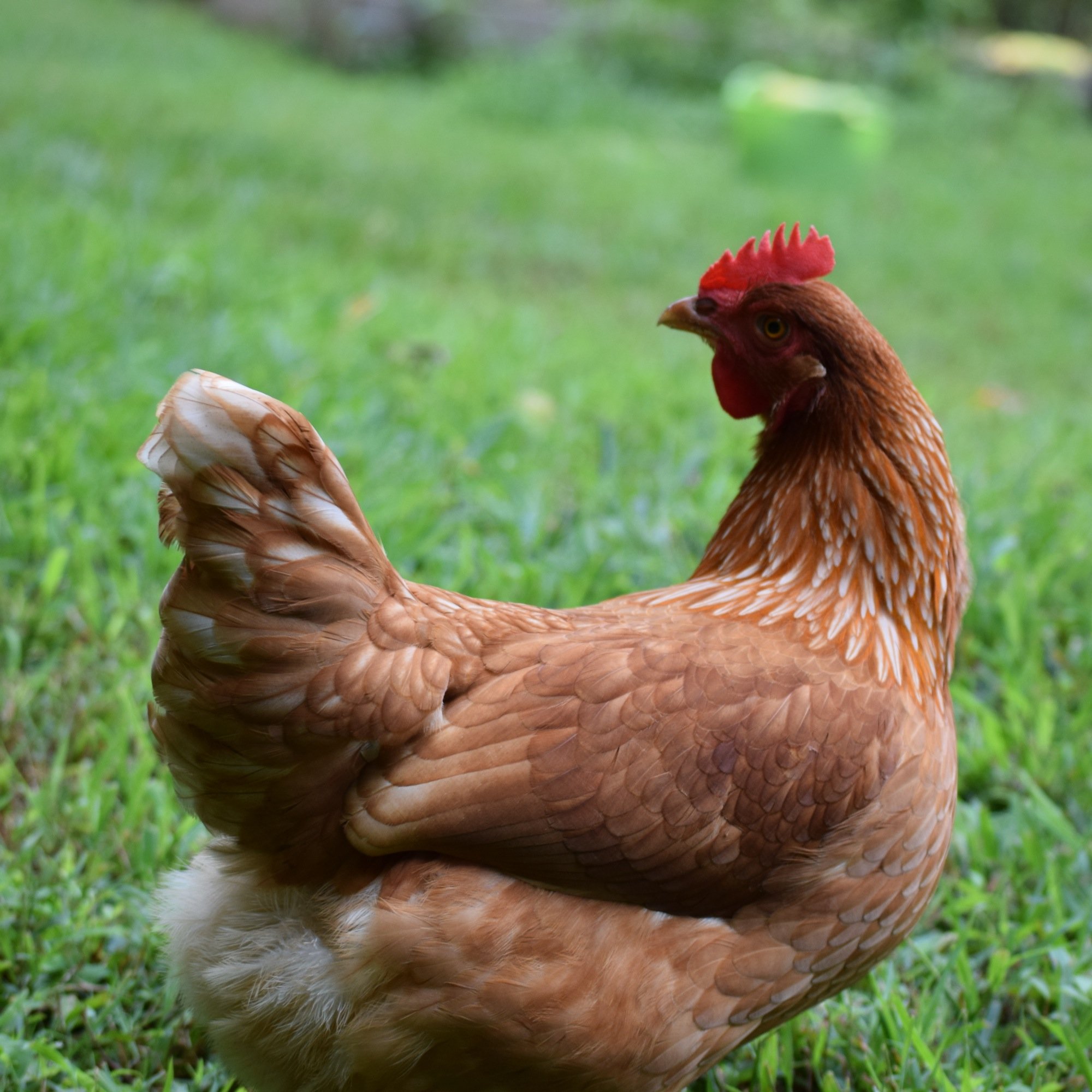 rebecca_dooley's profile picture. 