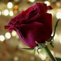 حسن الزهراني (@hassan40666) Twitter profile photo