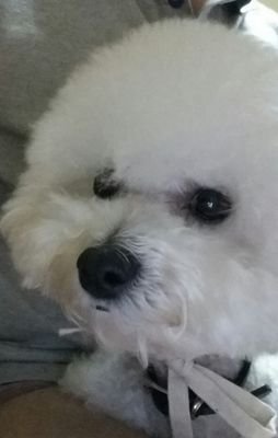 ejffjddl's profile picture. 대한민국의 건강한 남자