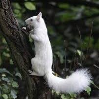 anatimbeta4's profile picture. 