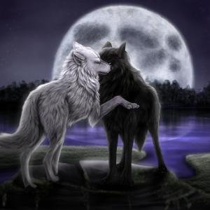 innamorato_lupo's profile picture. Leggo, scrivo, ascolto musica e la compongo, mi piace, mi diverte, e forse, è l'unica cosa che mi riesce bene.