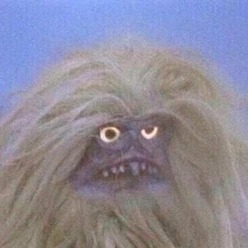 sk8forfood's profile picture. see you in the pit