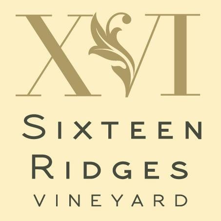 A range of wonderful English wines grown on the Sixteen Ridges Vineyard, and made at our winery in Ledbury, Herefordshire.