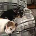 Judy Kovac - @JkshiJudy - Twitter