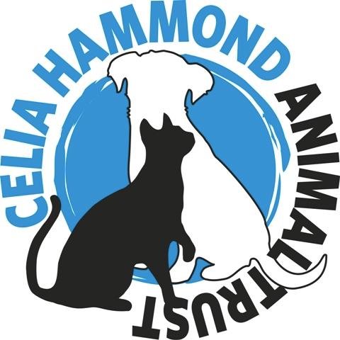 Celia Hammond Animal Trust - Charity -  Frontline proactive animal rescue centre, re-homing facility and low cost veterinary service. Charity no. 293787