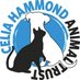 Celia Hammond (@celiahammond) Twitter profile photo Celia Hammond (@celiahammond) Twitter profile photo