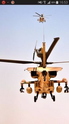 shlomiav505's profile picture. ‏צפון