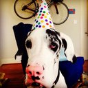 Hazel Newman - @hilaryhnewman - Twitter