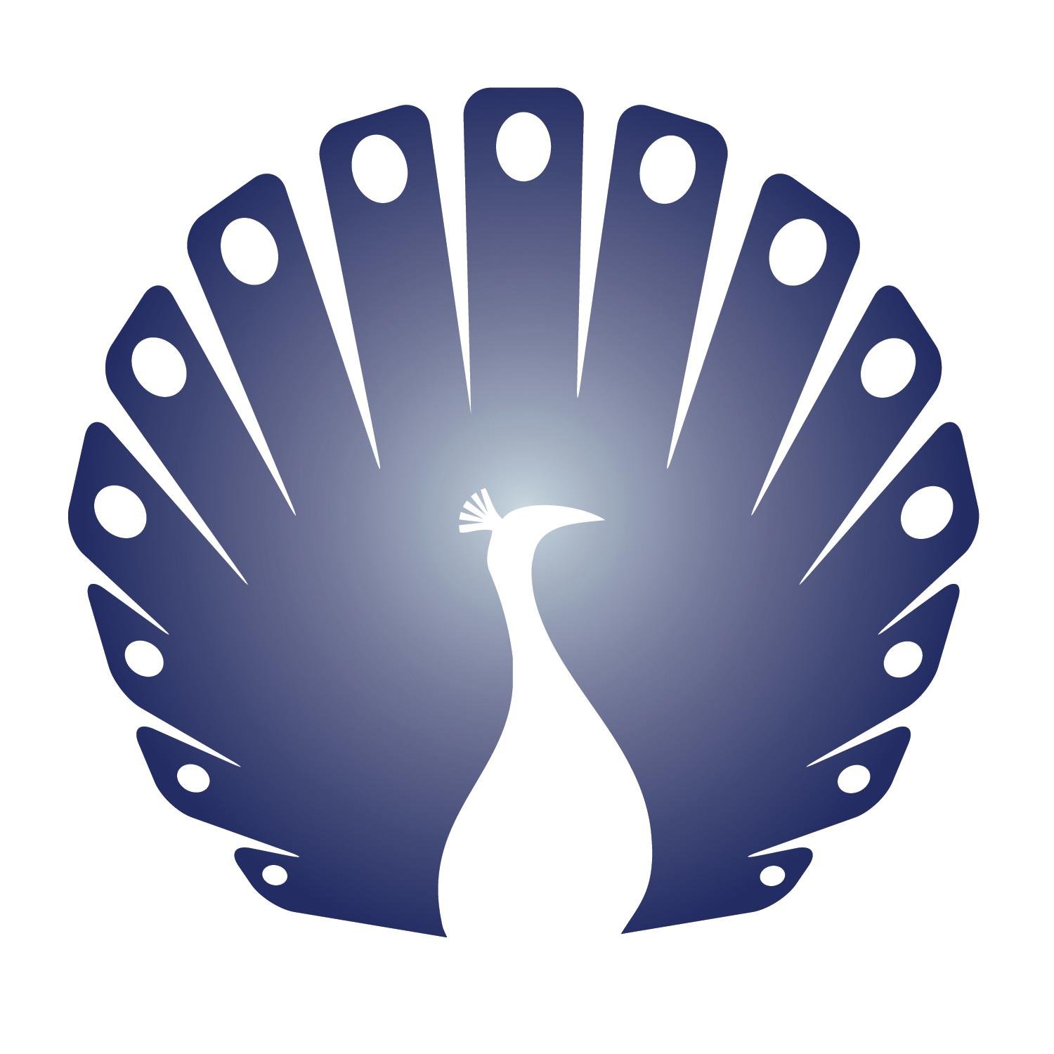 Peacock Virtual Solutions provides social media, marketing and virtual assistant services all over the US