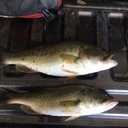 Michael Enger - @michaelenger96 - Twitter