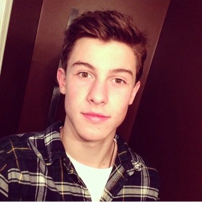 shawnthereason's profile picture. Hi guys I'm trying to ShawnsTheReason trending so please tweet along and let your followers know too he means a lot to us& needs to know!